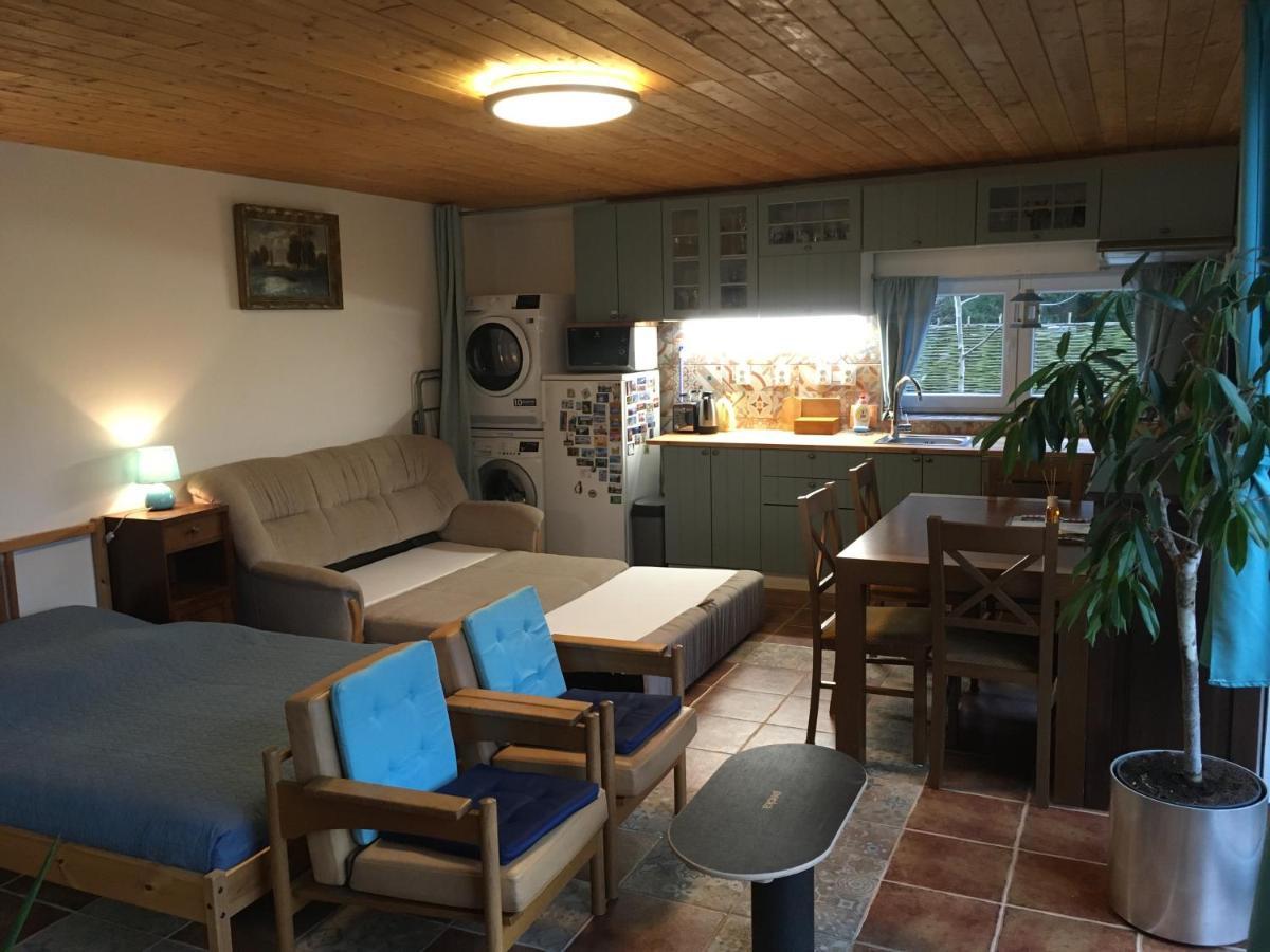 Ferienwohnung Na Vyhlidce Vrané nad Vltavou Exterior foto